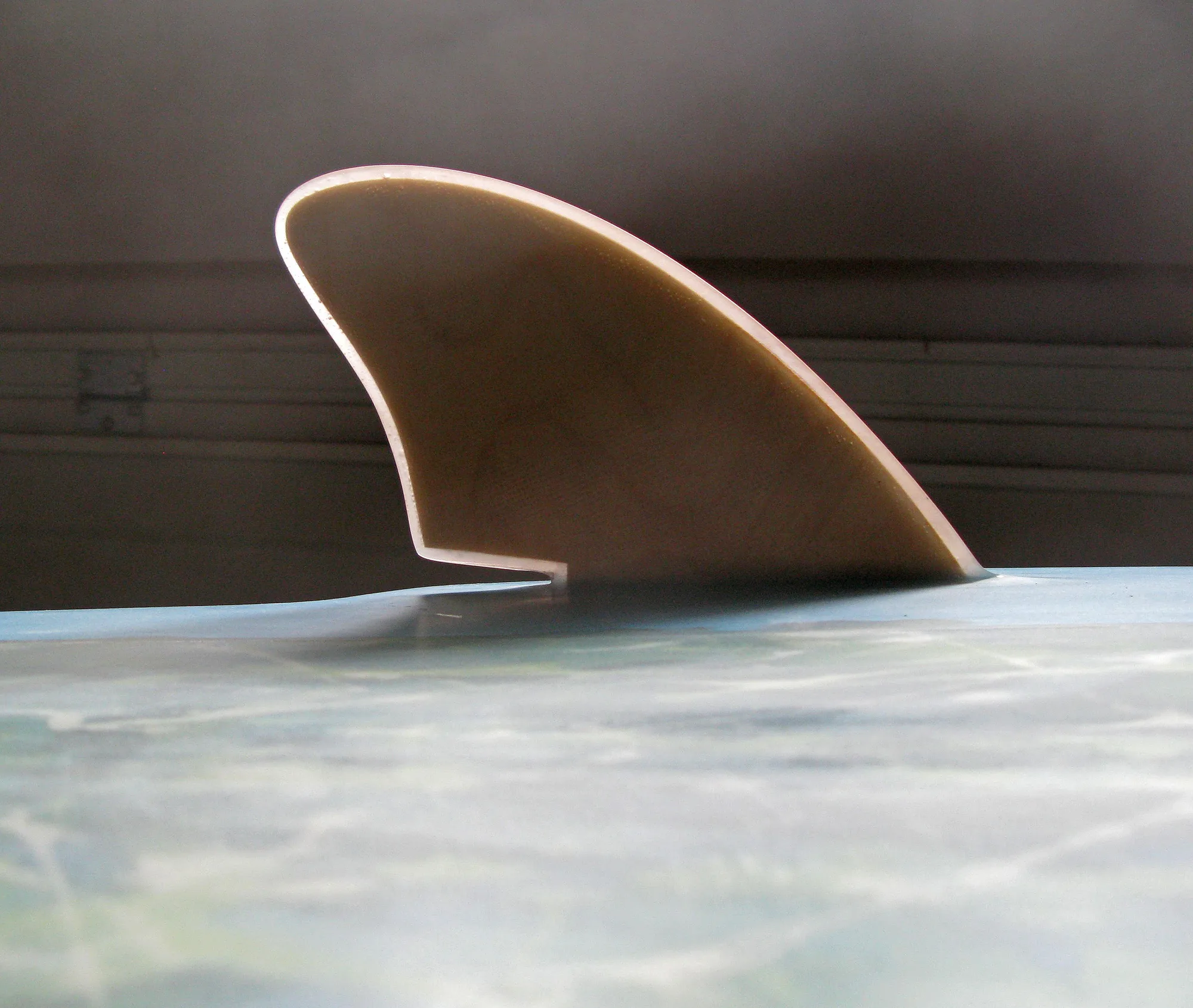 Backlit wooden keel fin with cutaway base on a blue board